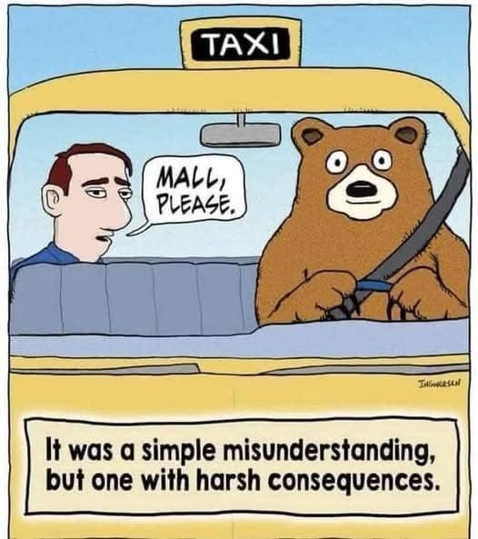 Language Insufficiency Meme : Second Language Strategies