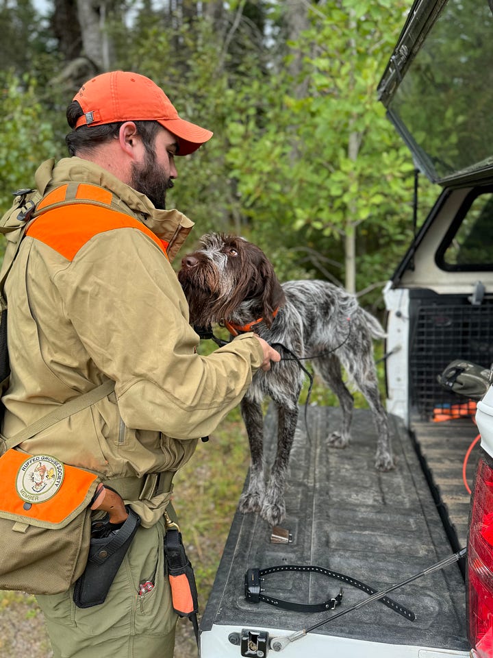 Author and his bird dog on the tailgate