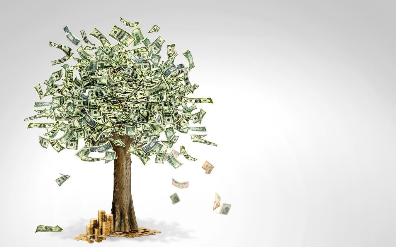Money Tree Wallpapers - Wallpaper Cave