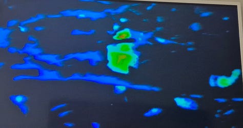 Predator vision - a thermal landscape