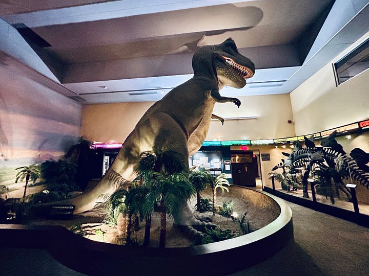 exhibit, display