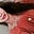 Melissaholleen's avatar