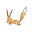 Mallaury's avatar