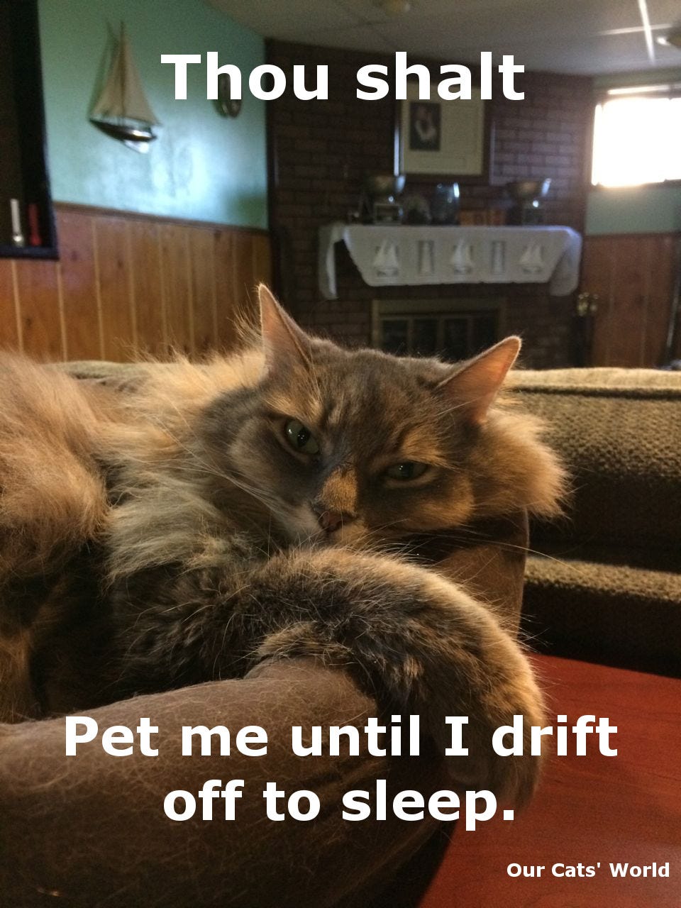 Kali_Feline_Commandments Kali_Feline_Commandments