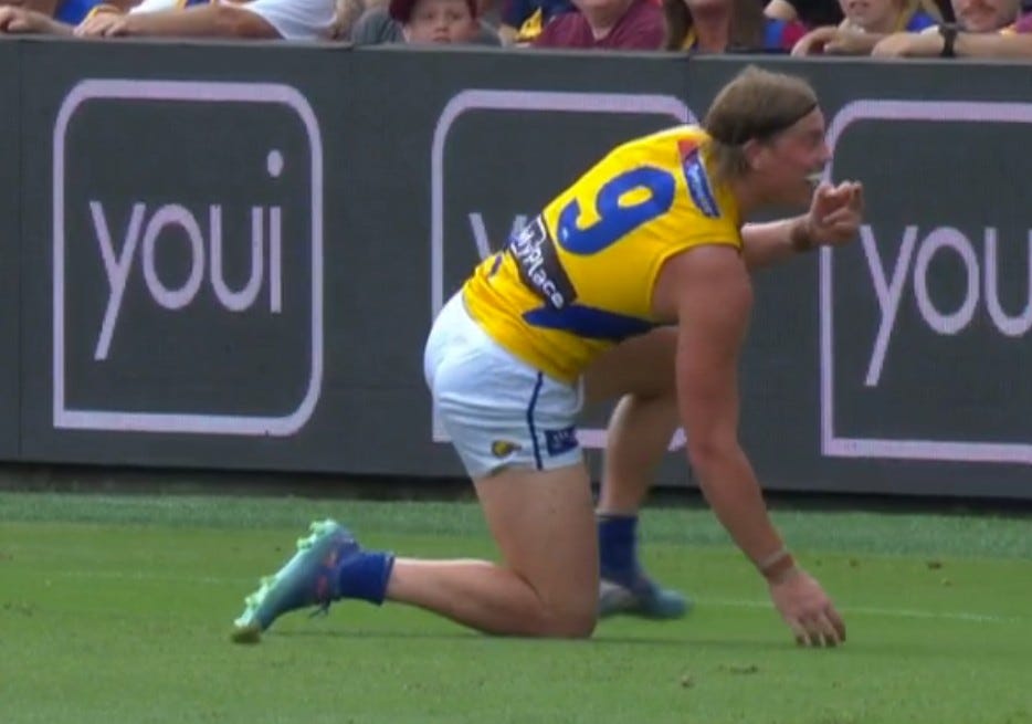 Too scared": Cornes takes aim at Reid and Eagles — SEN