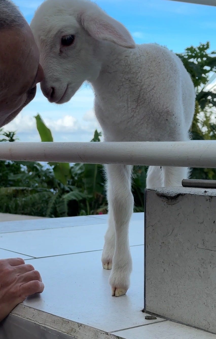 The Frenchman with Woolley