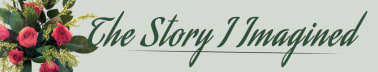 The Story I Imagined
