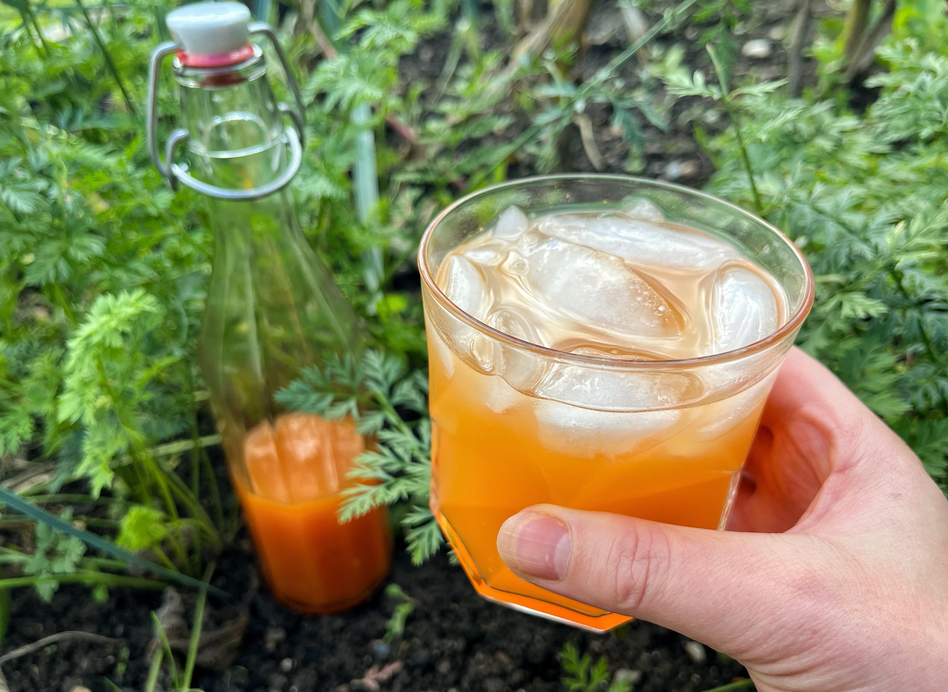 Shrub Make Shrub Making 101: Or, How To Make Any Shrub