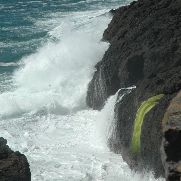 Living Behind Enemy Lines In Oregon, Tale #60: Being "Of Color" Immigrants Doesn't Help Small Business Owners