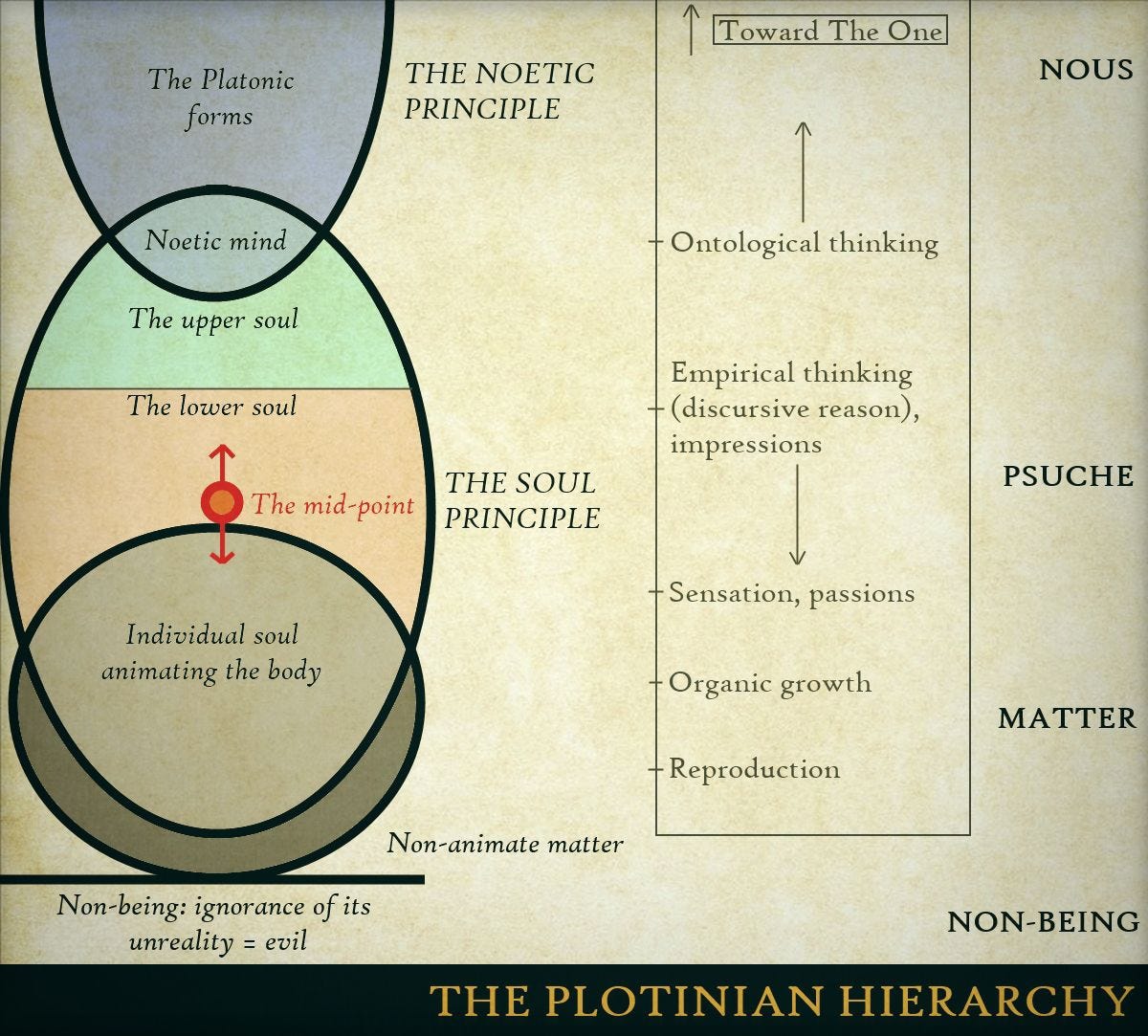 The Plotinian Hierarchy - a metaphysical diagram, Plotinus on degrees of consciousness and being ...