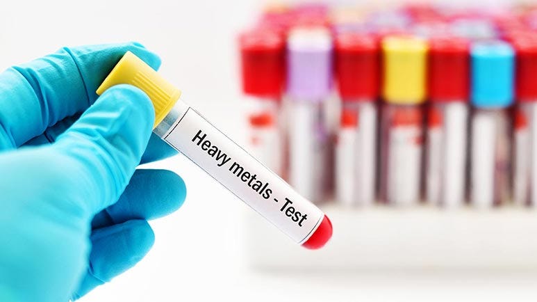 heavy metal exposure children gut health