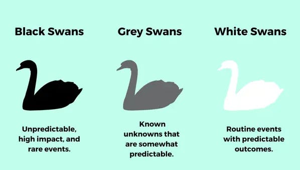 What Is a Black Swan Event? Definition and Example | EBC Financial Group
