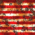 A Rewrite of American History