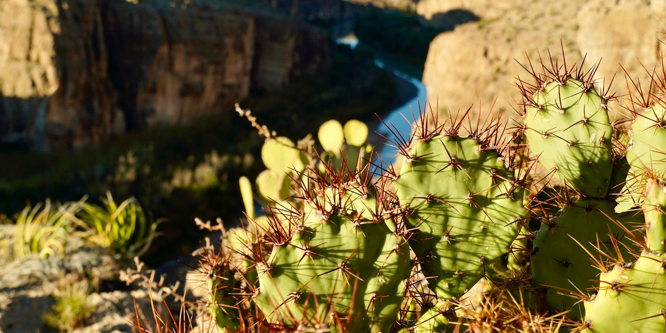 Family Camping Tradition