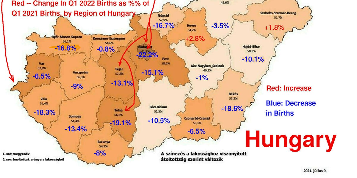 Hungary: Highest Vaccinated Counties Have Worst Birth Rate Drops!