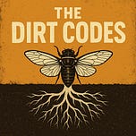 The Dirt Codes 