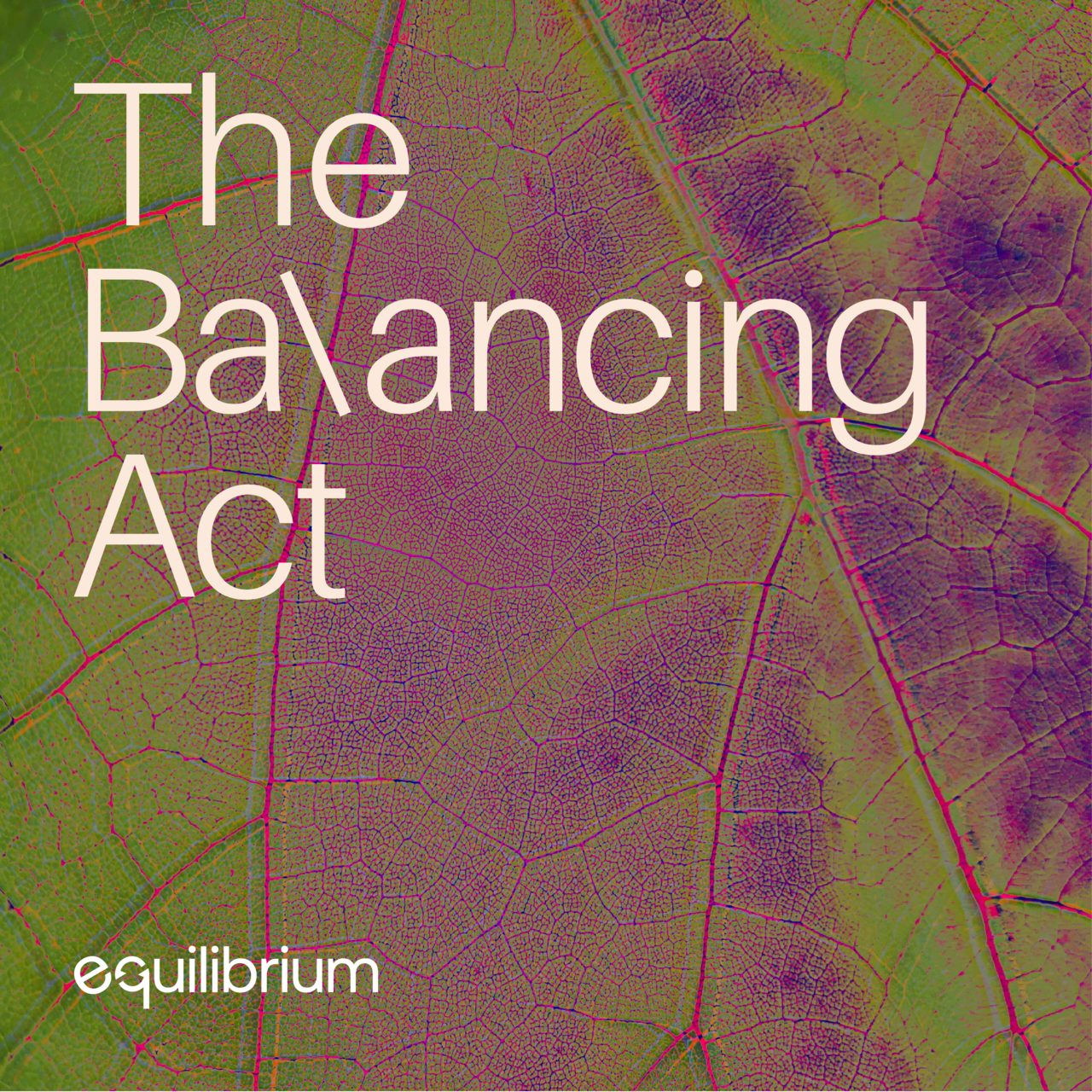 The Balancing Act by Equilibrium logo