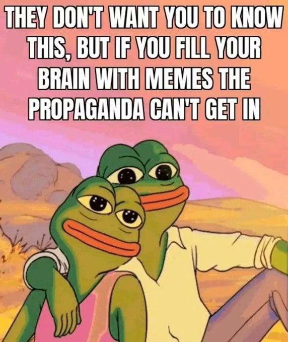 Two Pepe the Frog characters sitting together in a desert landscape, one wearing a white shirt and the other a green outfit, with their arms around each other. Text overlay reads, "THEY DON’T WANT YOU TO KNOW THIS, BUT IF YOU FILL YOUR BRAIN WITH MEMES THE PROPAGANDA CAN’T GET IN."