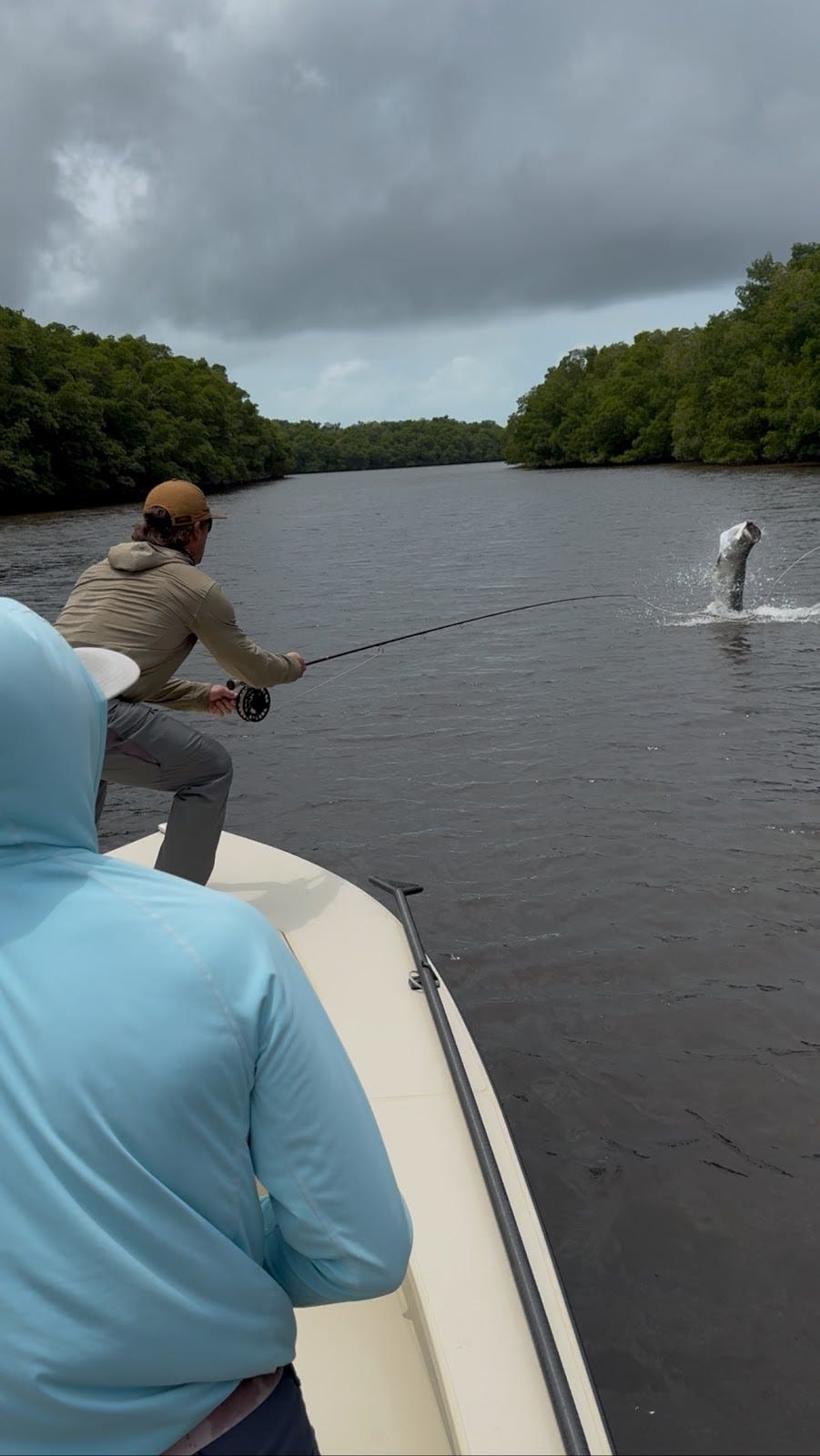 Massive tarpon at the boat-experience the thrill of landing a trophy fish on a guided Everglades fishing expedition.