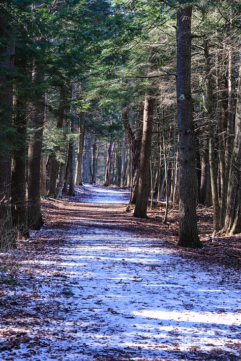 Early Spring