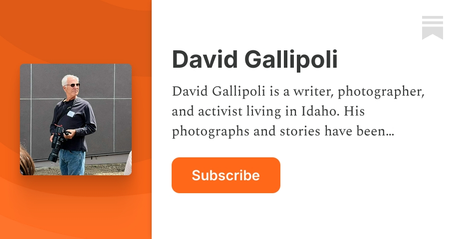 David Gallipoli | Substack