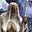 Gandalf's Cleavage's avatar