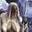Gandalf's Cleavage's avatar