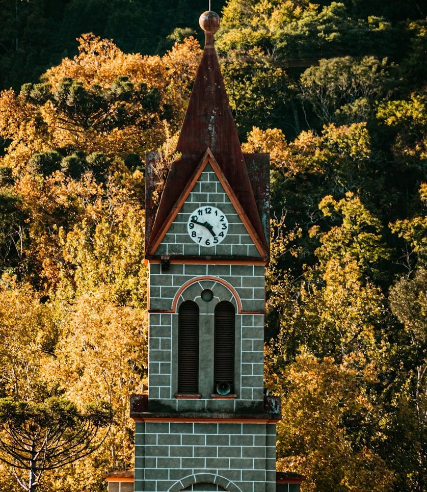 brown and white concrete church near green trees during daytime