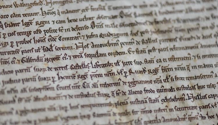Salisbury Cathedral and Magna Carta - Travel Trade - in Salisbury,  Salisbury - Visit Wiltshire