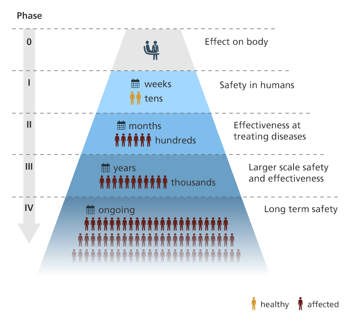 What is a clinical trial? – YourGenome