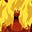 Cock Blockula's avatar