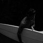 Andy St. Onge's avatar