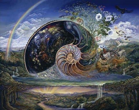 Framed Nautilus Print