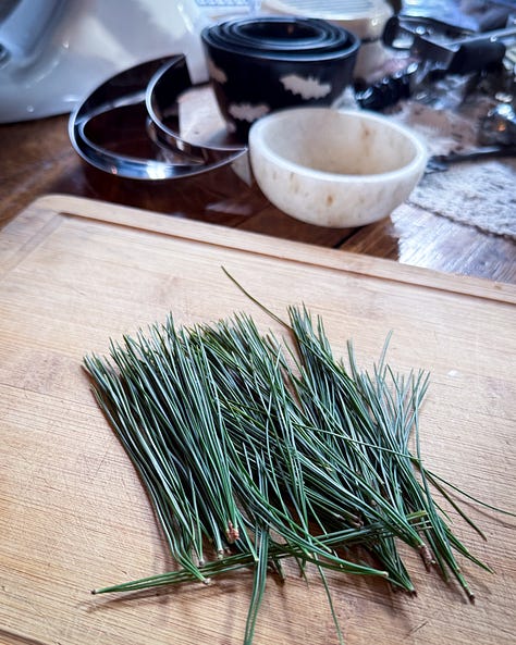 Photos of pomegranate, juniper, rosemary, chestnuts, Pine needles, blood oranges, sliced open and mulled wine simmering