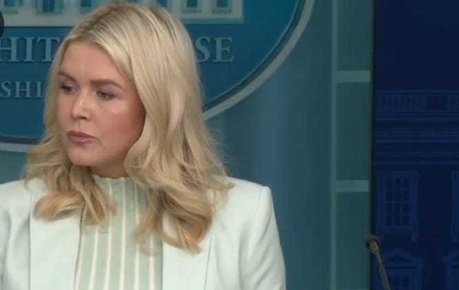 Karoline Leavitt Delivered A Message To Voters That Will Lose The Midterm Election For Republicans