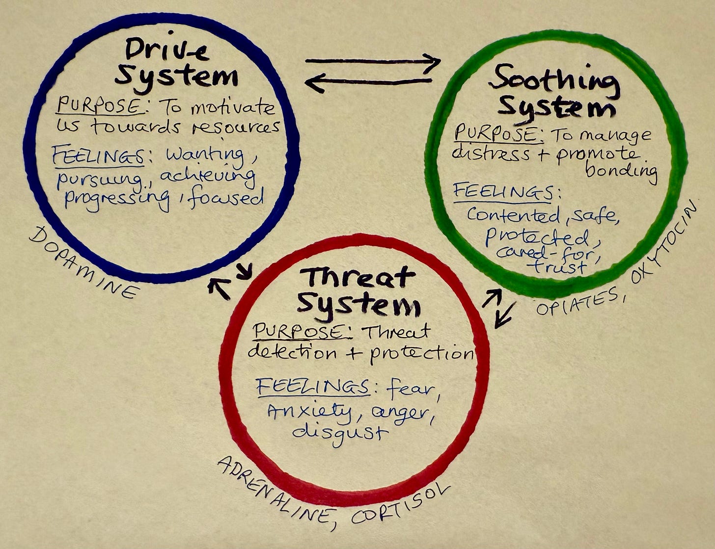 Diagram of the 3 emotion regulation systems
