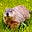 Bob Hannaford's avatar