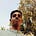 Aravind Sivaprasad's avatar