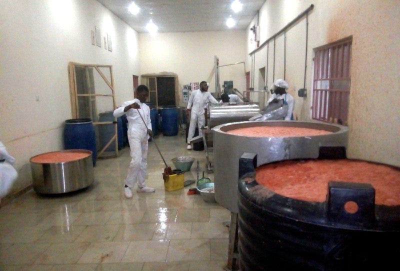 NaFarm employees washing and crushing tomatoes for processing