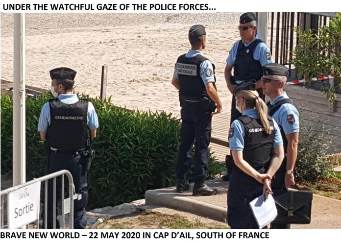 202005_BraveNewWorld_WatchfulGaze