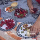 what I did offline this summer