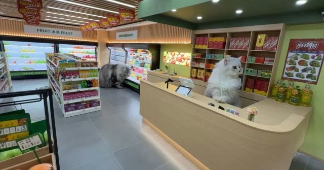 supermarket.jpg