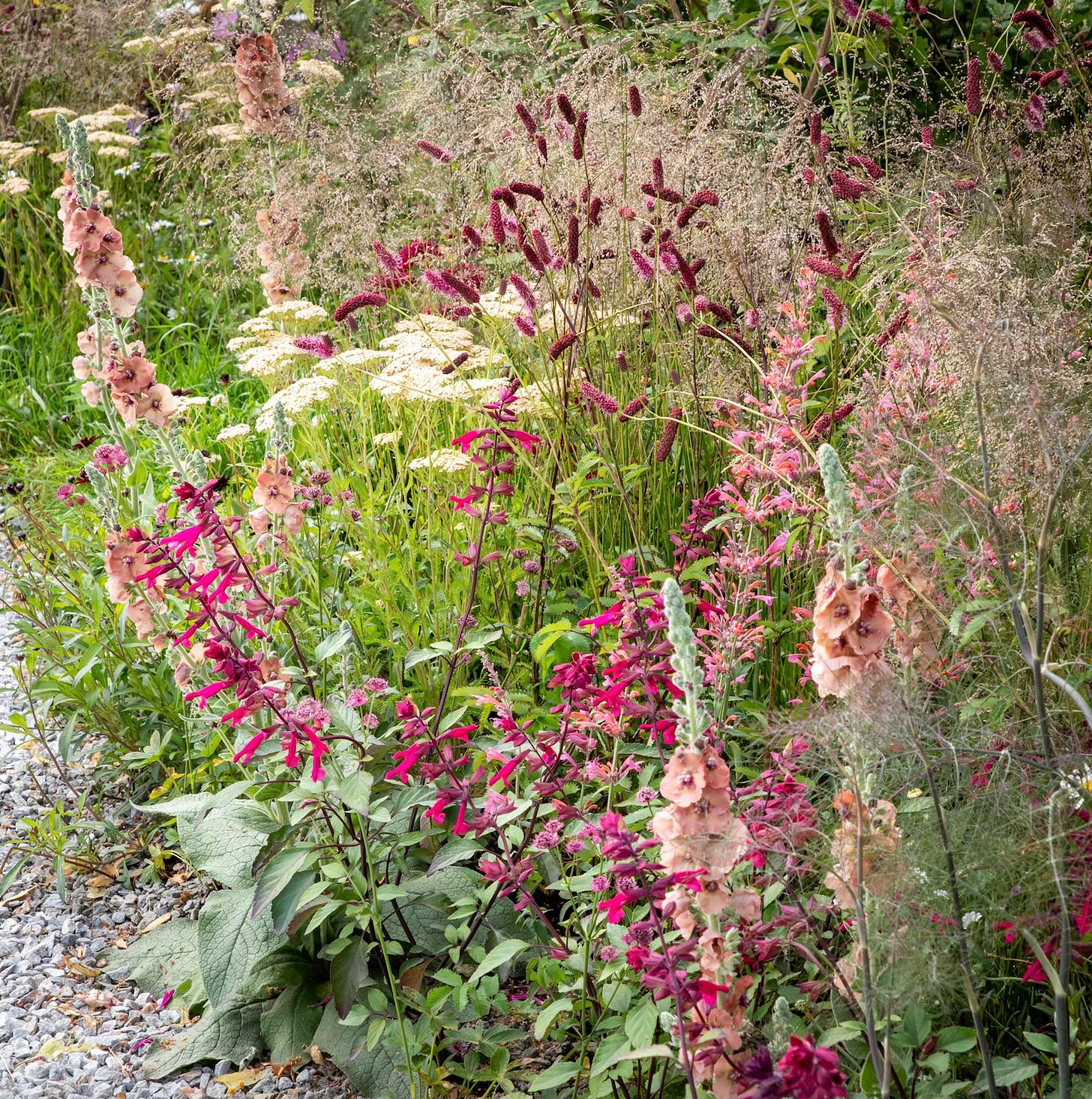 A pretty cottage garden for wildlife designed by Jo Thompson