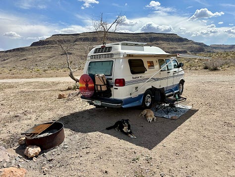 Desert landscapes, petroglyphs, cactus flower, campsite, and dogs