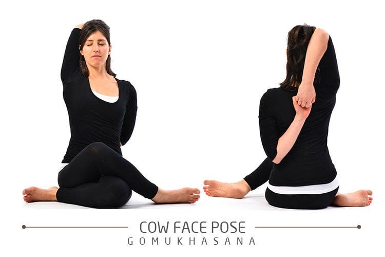 How to do Gomukhasana (Cow's Face pose) ? Benefits of Gomukhasana -  Himalayan Yoga Association (Yoga Ashram)