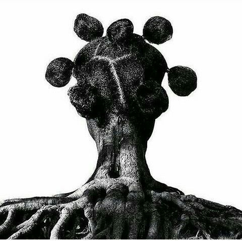 This may contain: an image of a tree with its roots in black and white photo, taken from below