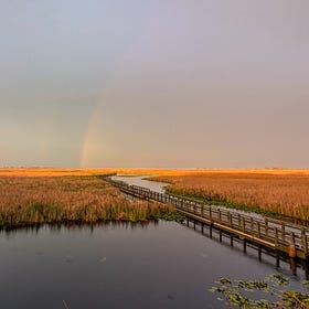 Capturing May migration at Canada’s southernmost mainland point