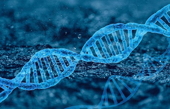 DNA