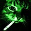 User's avatar