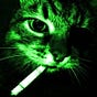 Rob Rimes's avatar